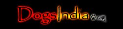 DogsIndia.com Logo