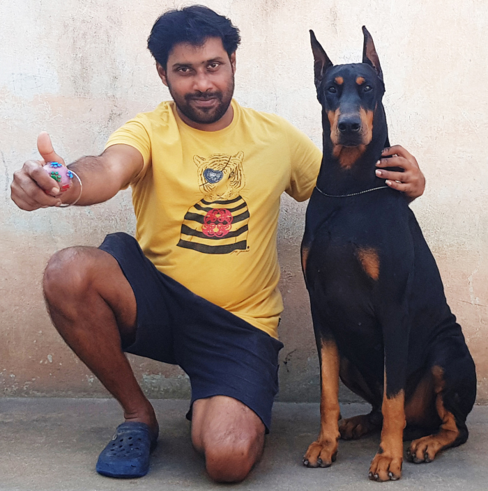 DogsIndia.com - Dobermann - Scarlex - Arun Kumar