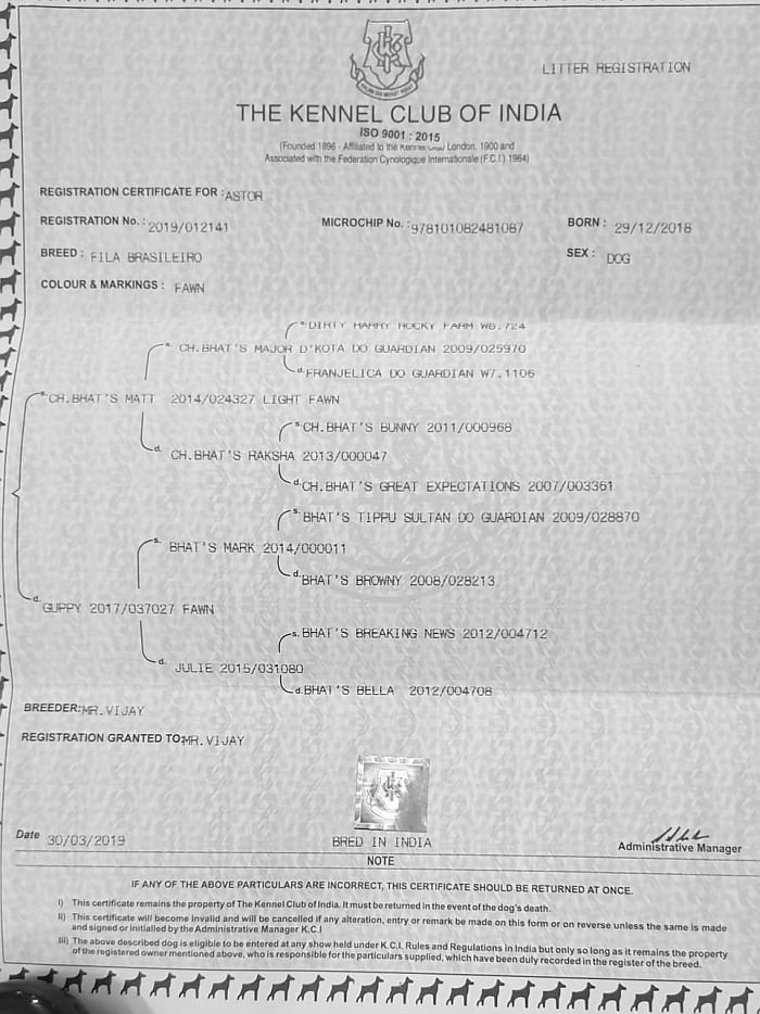 DogsIndia.com - Fila Brasileiro - Dr.Sayantan Patra