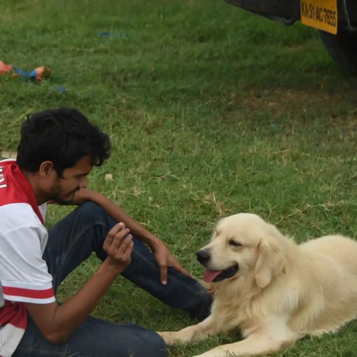 DogsIndia.com  Golden Retriever  Hayesberg  Nihal
