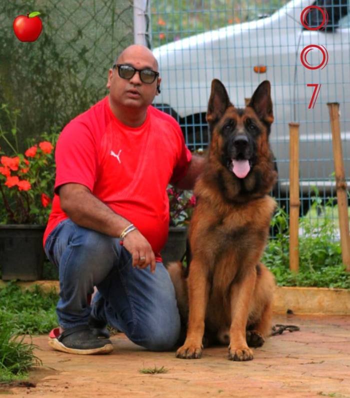 DogsIndia.com - GSD - Apple Kennel