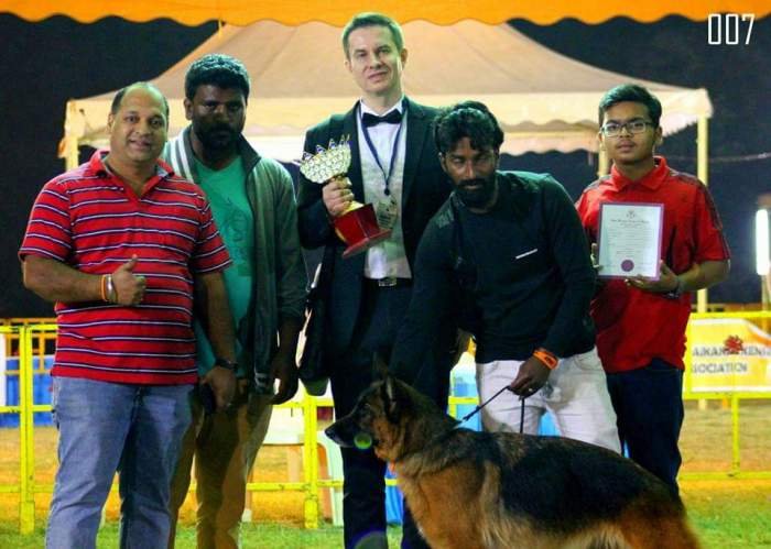 DogsIndia.com - GSD - Apple Kennel