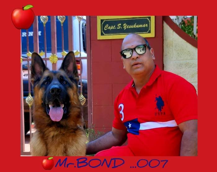 DogsIndia.com - GSD - Apple Kennels - Karthikeyan