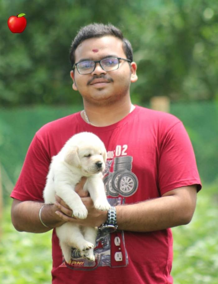 DogsIndia.com - Labrador Retriever - Apple Kennel