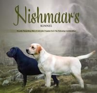 DogsIndia.com - Labrador Retriever - Nishmaar's Kennel