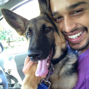 pomeranian puppies for sale in coimbatore dogs india all about dogs breeders breeds indian breeds and info related to dogs pomeranian puppies for sale in coimbatore dogs india all about dogs breeders breeds indian breeds and info related to dogs
