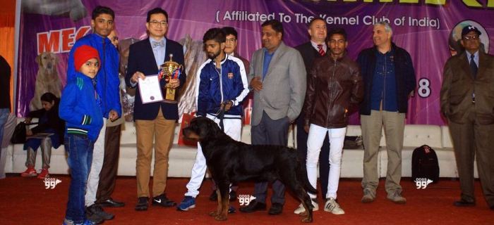 DogsIndia.com - Rottweiler - Siddharth Yadav
