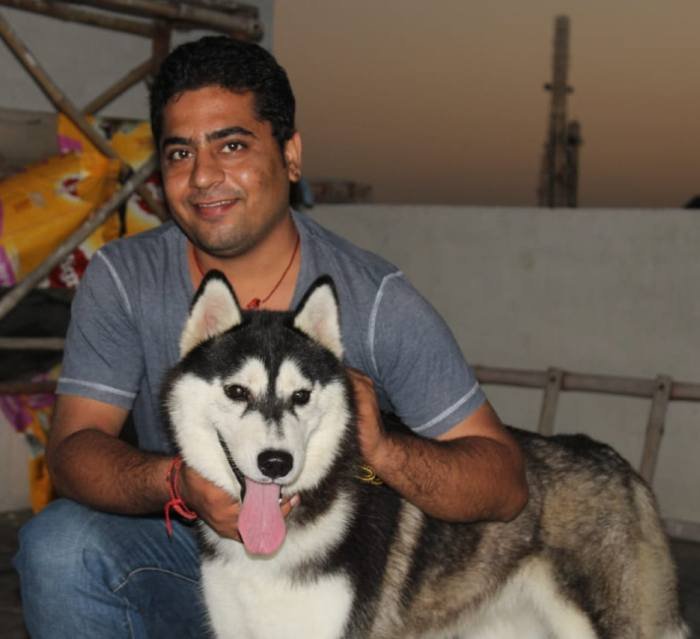 DogsIndia.com - Siberian Husky - Karan Chawla