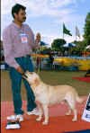 Bangalore4_Lab.jpg (29315 bytes)