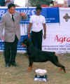Bangalore_BIS_Rott.jpg (27816 bytes)