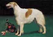 Borzoi-DI.jpg (9129 bytes)
