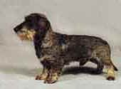 Dachshund Miniature(Wire Haired)-DI.jpg (8505 bytes)