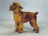 Griffon Bruxellois-DI.jpg (8407 bytes)