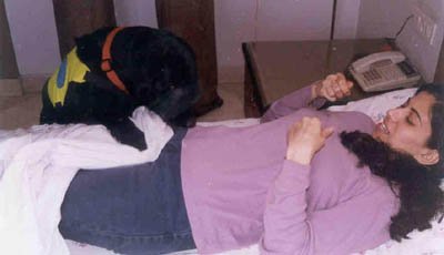 Honey covering owner with blanket.jpg (20308 bytes)