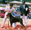 National6_Dobe.jpg (45701 bytes)