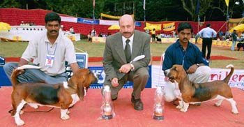 National_Basset_Lineup.jpg (19627 bytes)