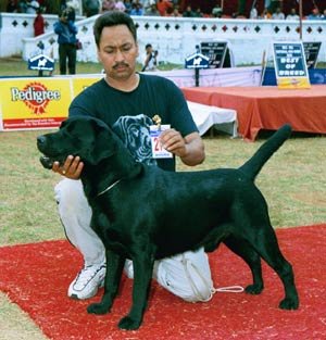 National_Lab_Mangat.jpg (25838 bytes)