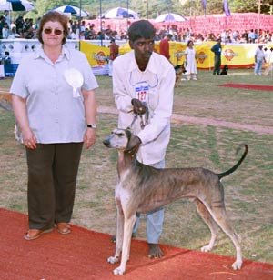 National_Mudhol3.jpg (24035 bytes)