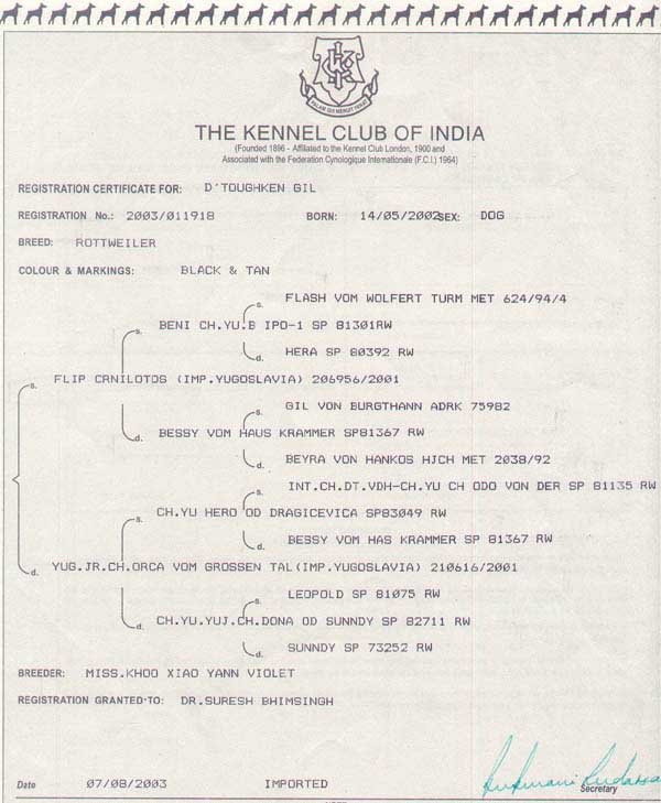 Toughken Tyson Pedigree.jpg (59645 bytes)