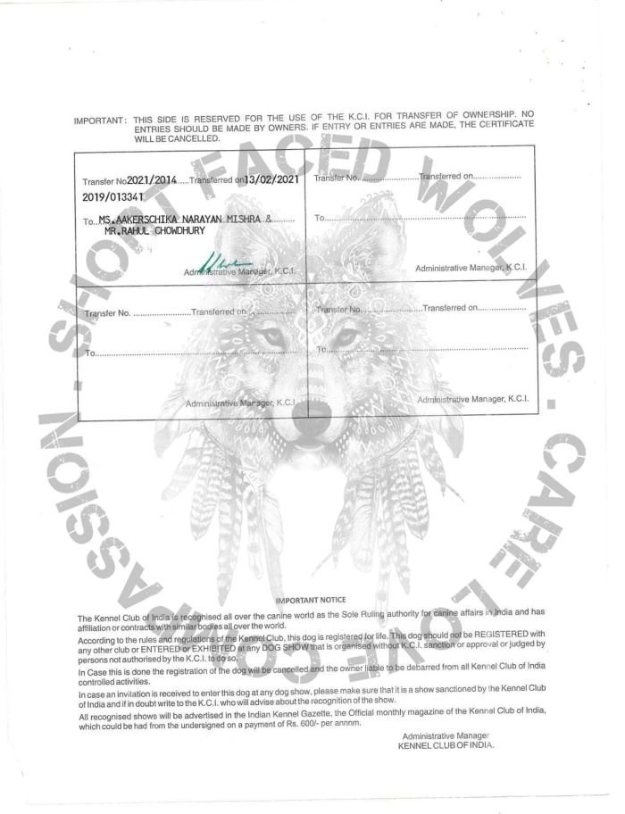 DogsIndia.com - Alaskan Malamute - Rahul