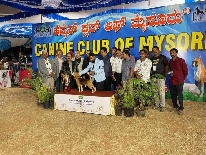 DogsIndia.com - Beagles - Rockford Beagles - Suhas Shetty