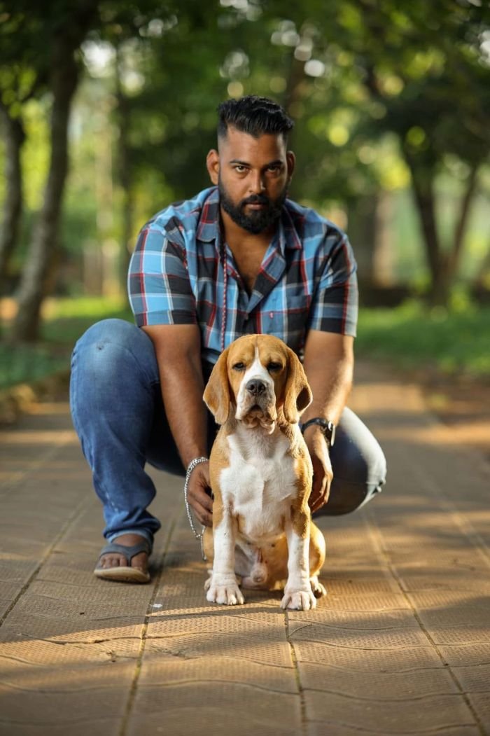 DogsIndia.com - Beagles - Rockford Beagles - Suhas Shetty