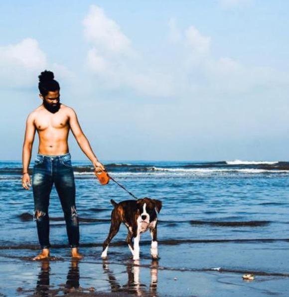 DogsIndia.com - Boxer - Montrose Kennels - Dr. Arun Vijayan