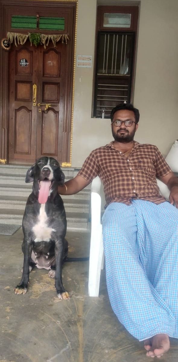 DogsIndia.com - Bulli Kutha - Deepak