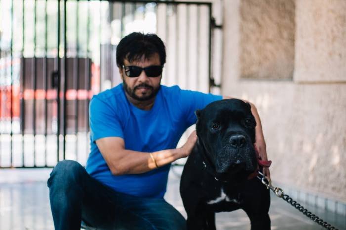 DogsIndia.com - Cane Corso - Sunil Kotwal