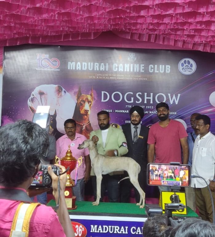 DogsIndia.com - Caravan Hound - Anish