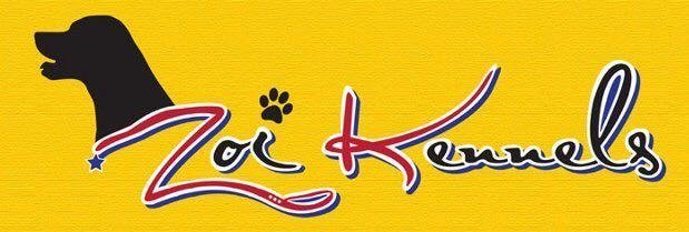 DogsIndia.com - Caravan Hound - Zoi Kennel
