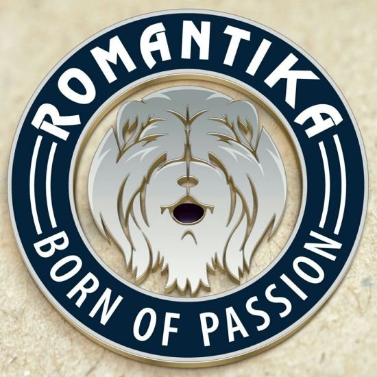 DogsIndia.com - Chow Chow - Manoj Krishna