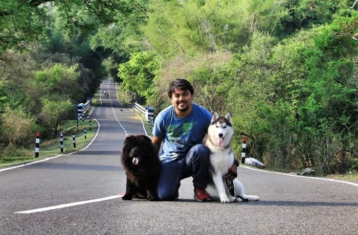 DogsIndia.com - Chow Chow - Manoj