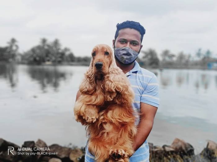 DogsIndia.com - English Cocker Spaniel - Aldrin Gonsalez
