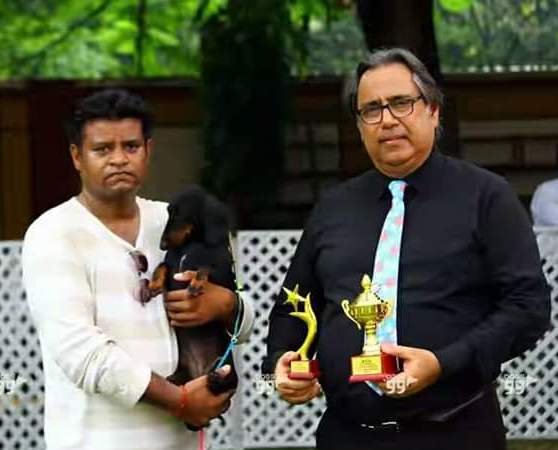DogsIndia.com - Dachshund Standard Smooth - Toyboy