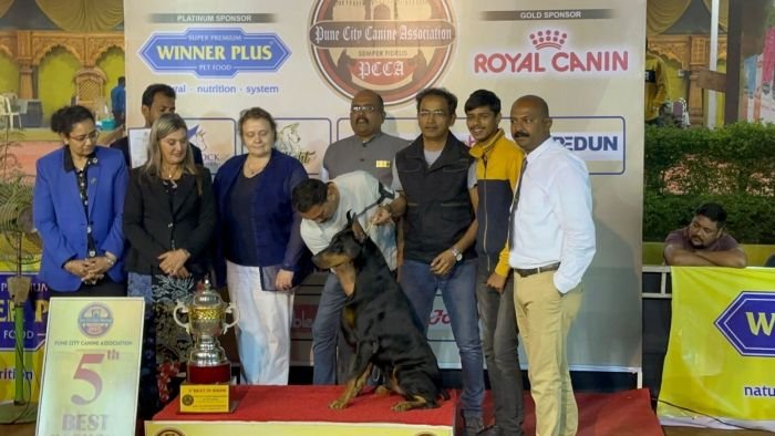 DogsIndia.com - Dobermann - Dalvi