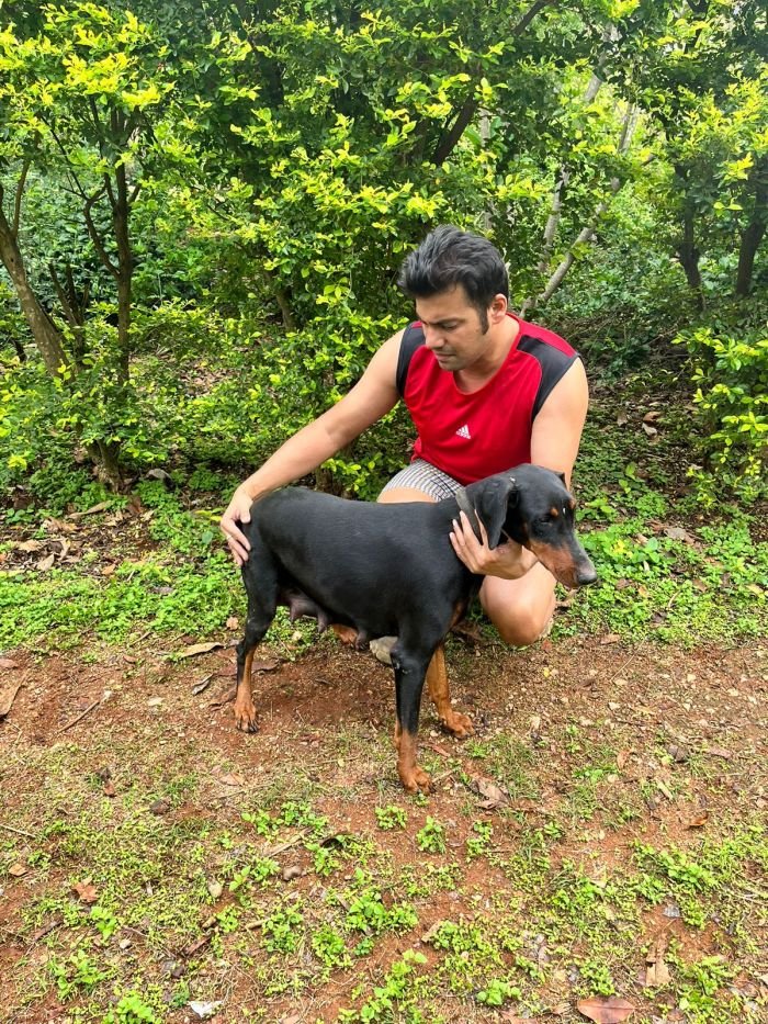 DogsIndia.com - Dobermann - Sumanth
