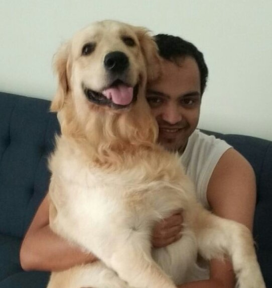 DogsIndia.com - Golden Retriever - Chiming Bells
