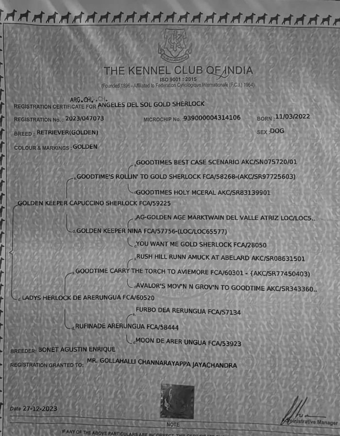 DogsIndia.com  Golden Retriever  Jayachandra