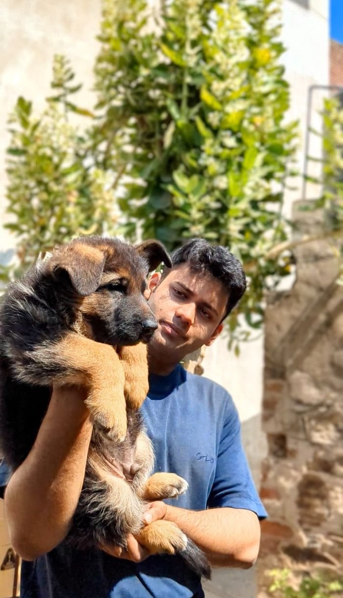 DogsIndia.com - GSD - Pranay Mishra