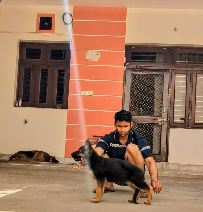 DogsIndia.com - GSD - Pranay Mishra