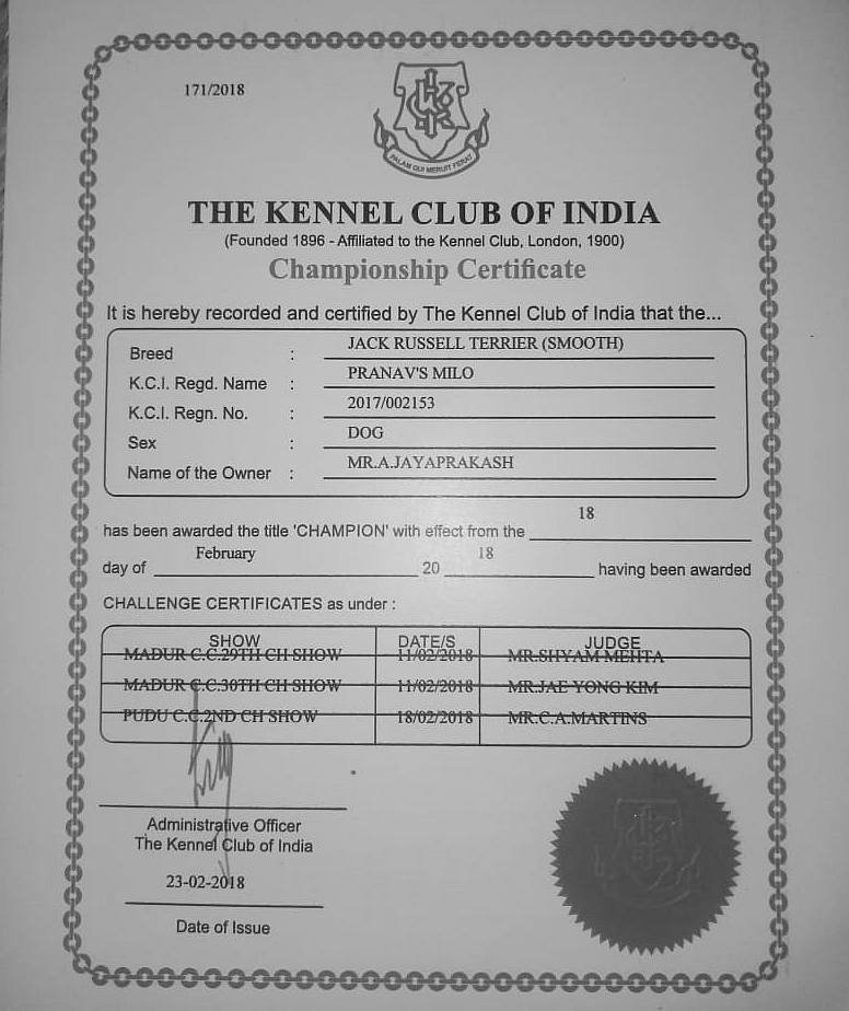 DogsIndia.com - Jack Russell Terrier - Pranav Kennels - Jaya Prakash