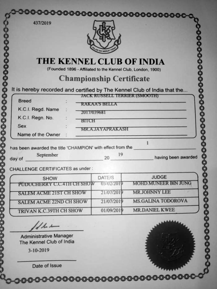 DogsIndia.com - Jack Russell Terrier - Pranav Kennels - Jaya Prakash