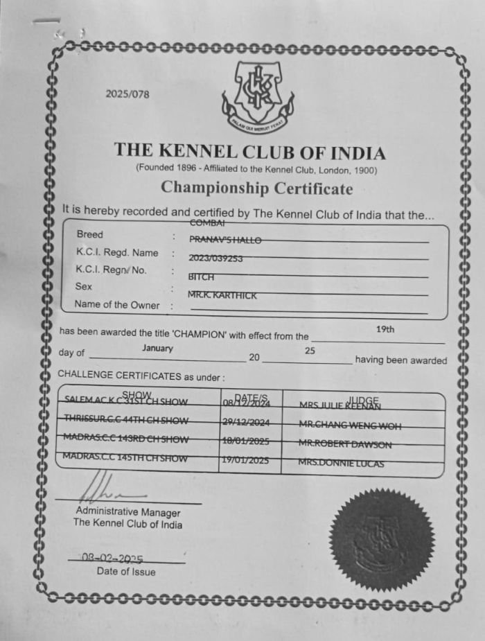 DogsIndia.com - Kombai - Karthick