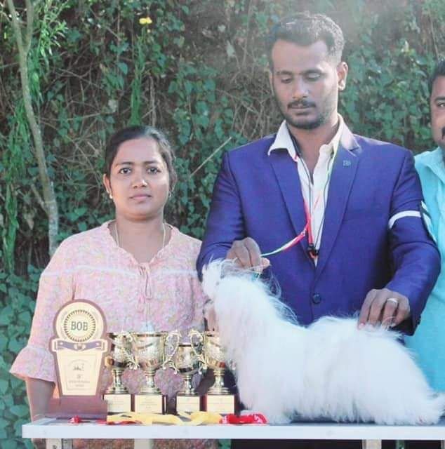 DogsIndia.com - Maltese - Vikram Shreyas
