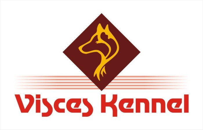 DogsIndia.com - English Pointer - Visces Kennel