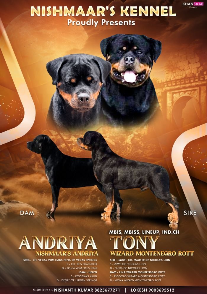 DogsIndia.com - Rottweiler - Nishmaar's Kennel