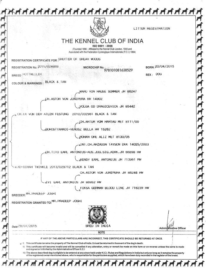 DogsIndia.com - Rottweiler - Siddharth Yadav