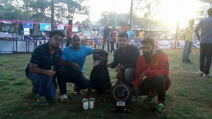 DogsIndia.com - Rottweiler - Ravi Kumar - Rosewood Kennel