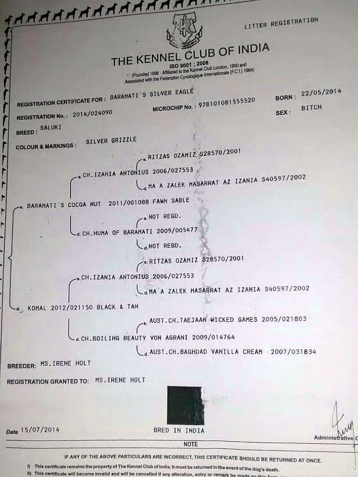 DogsIndia.com - Saluki - Attila's Kennel